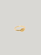 Coastal Eye Ring