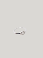Coastal Eye Ring