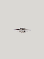 Coastal Eye Ring