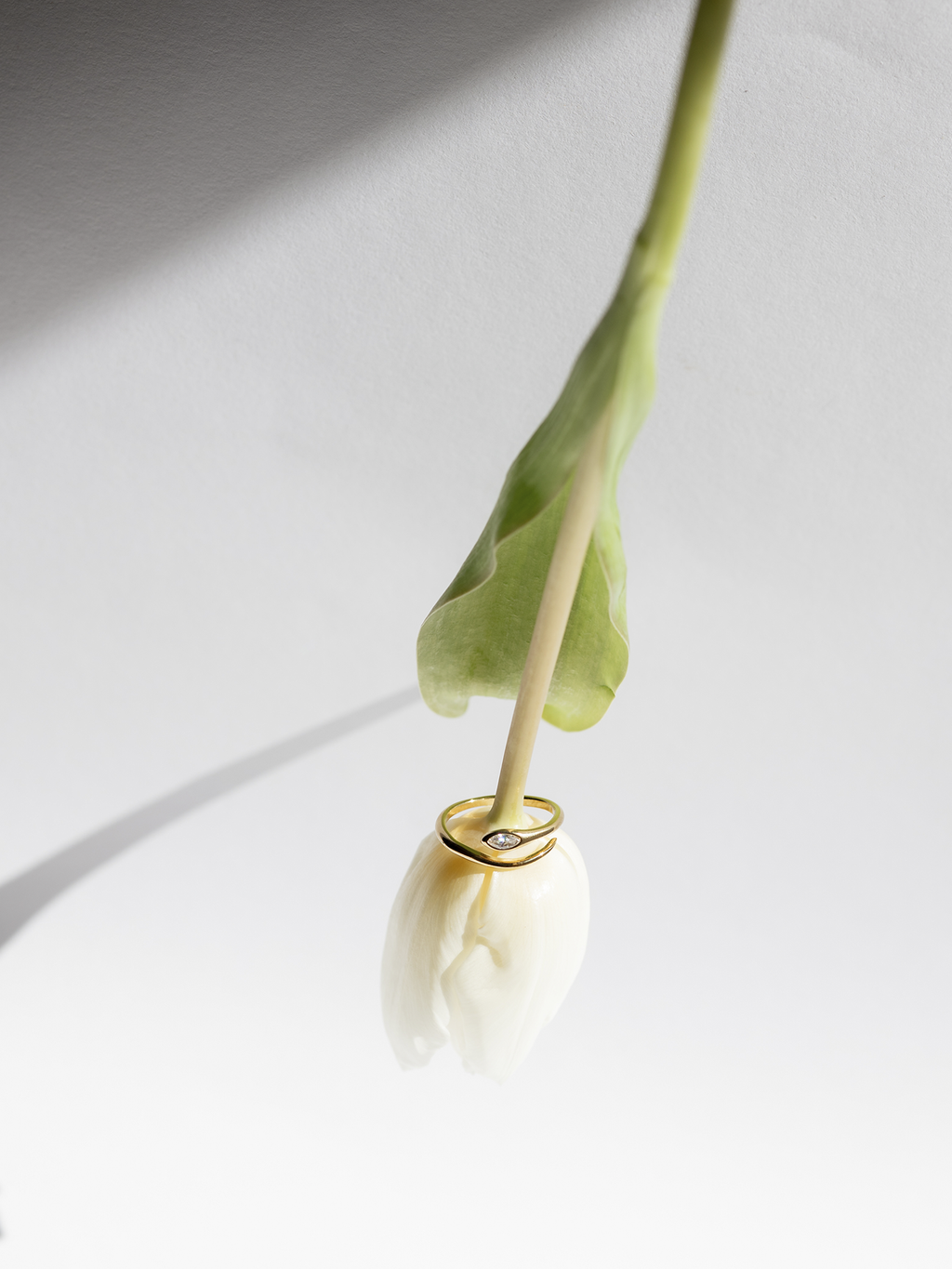 Elegance Gold Ring