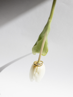 Elegance Gold Ring