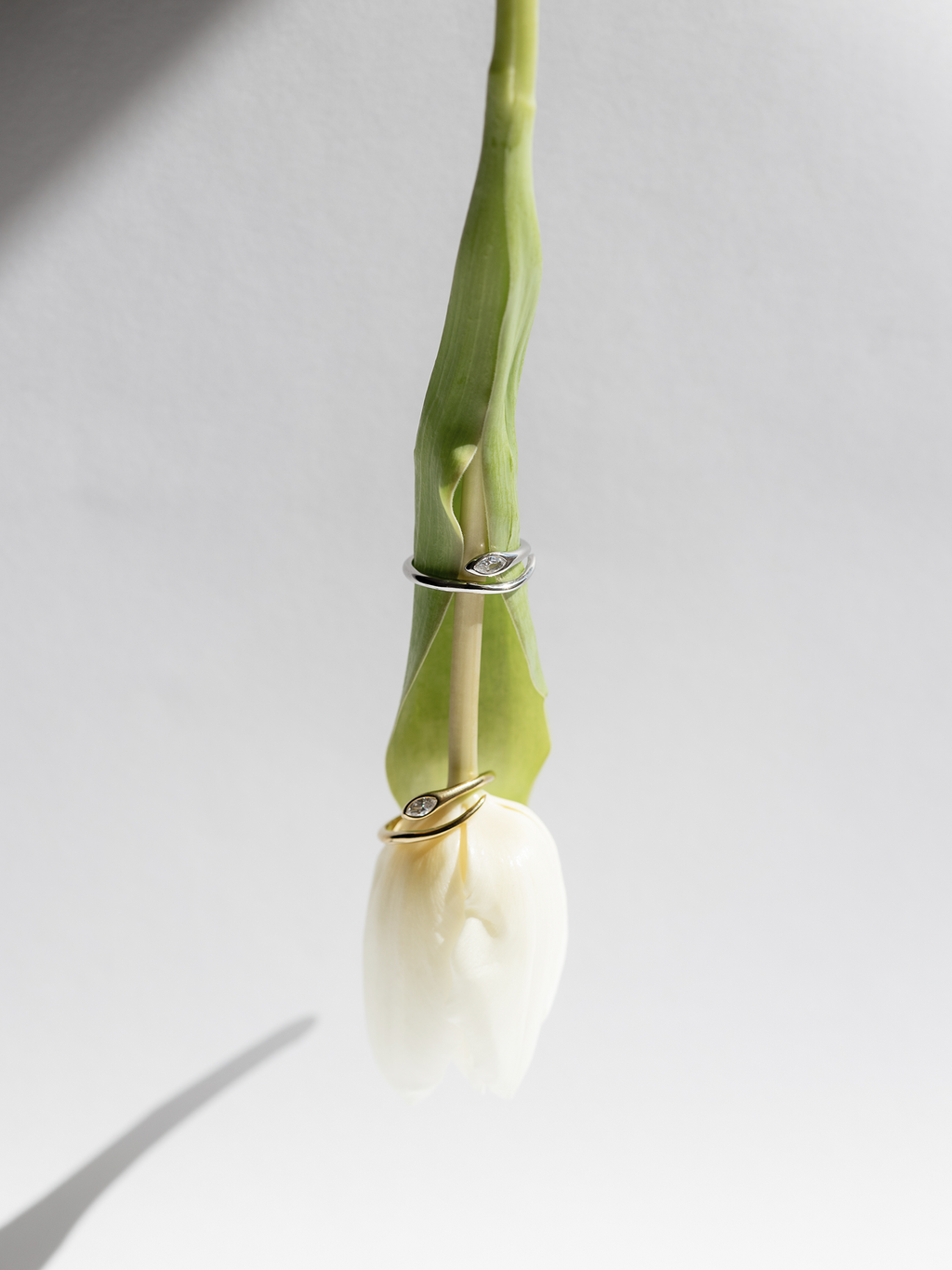 Elegance Gold Ring