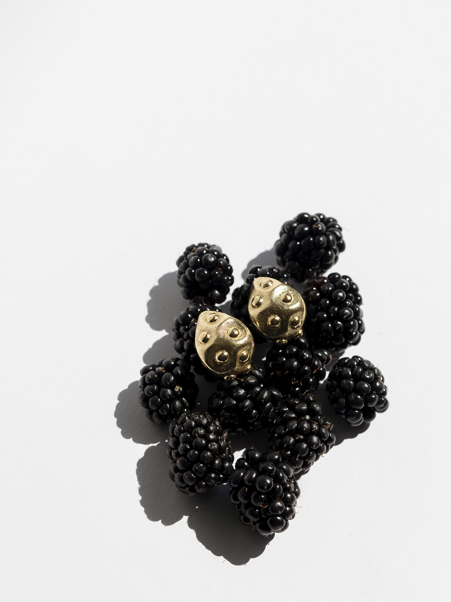 Golden Leaf Earrings